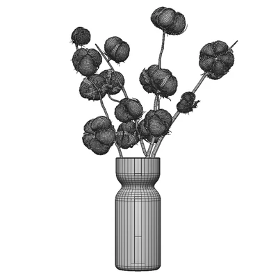 Cotton — Ver 4