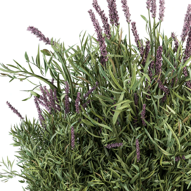 Lavender Bush - Bush Set20 — Скачать