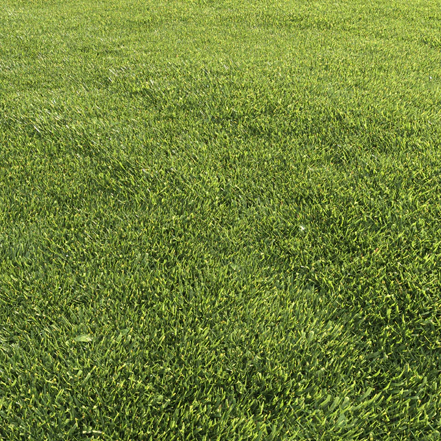 Lawn grass — Descargar
