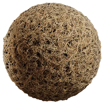 grass dried 043 — Скачать