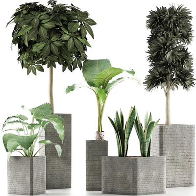 Plants Collection 39 — Ver 1