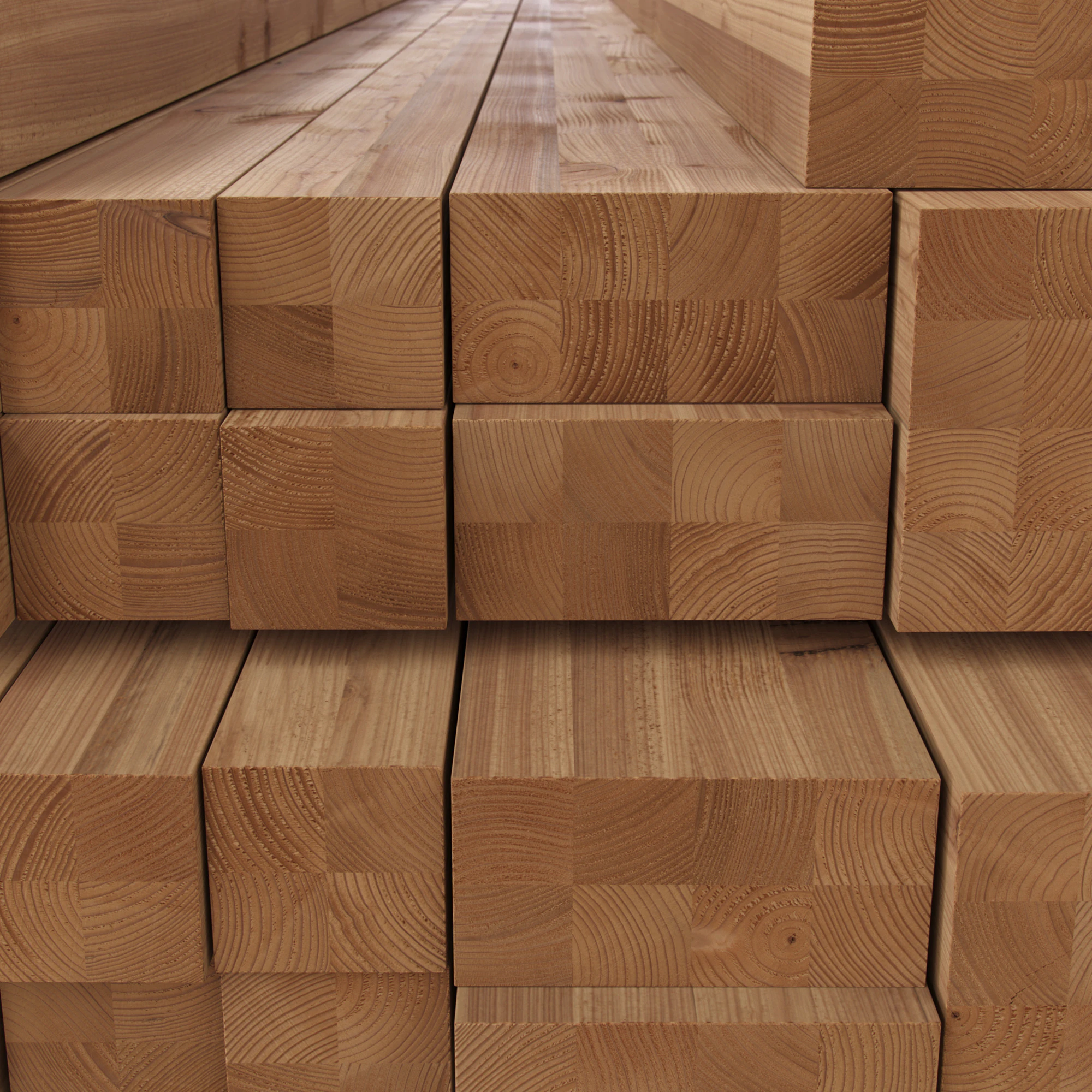 timber 038 — Скачать