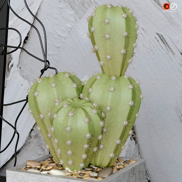 decorative set — Descargar