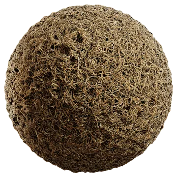 grass dried 039 — Скачать