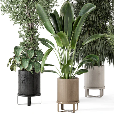 Indoor Plants in Ferm Living Bau Pot Large - Set 474 — Ver 4