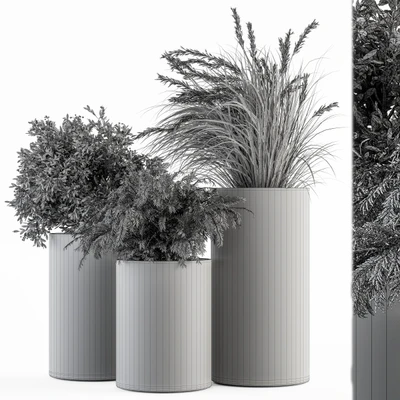 Outdoor Plant Set 292 - Plant Set in Concrete Pot — Ver 2