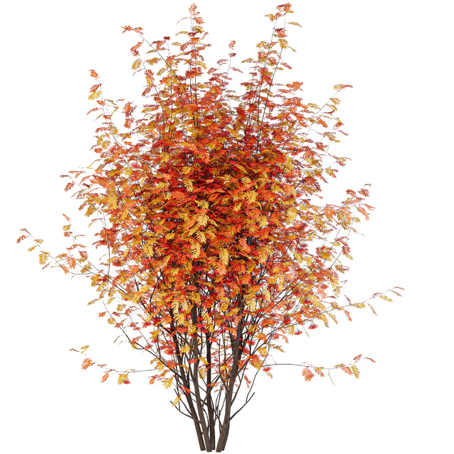Street Tree vol. 2 - Рябина — Скачать