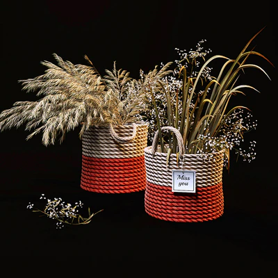 Field plants set — Вид 1