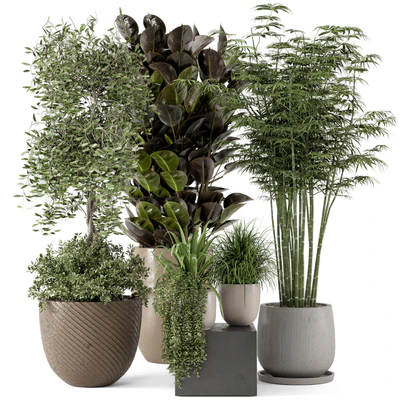 Indoor Plants in rusty Concrete Pot - Set 229 — Ver 1