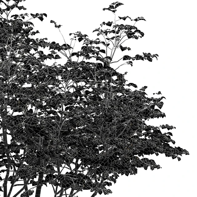 beautiful hazel leaves — Descargar