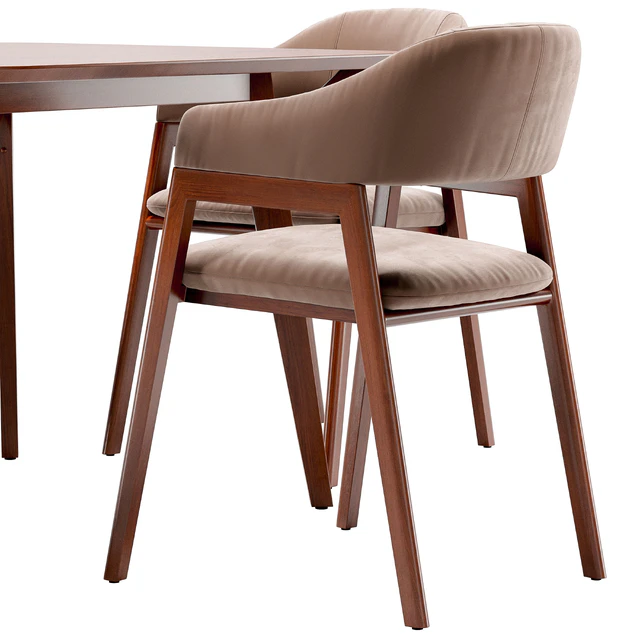 Angel Cerda dining chair and Terong table — Descargar