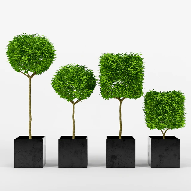 collection of plants 2 — Descargar