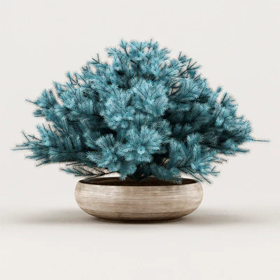 Cheap Juniper Blue — Ver 1
