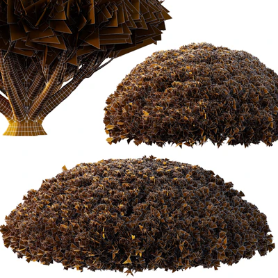 Pinus Mugo Bush07 — Ver 2