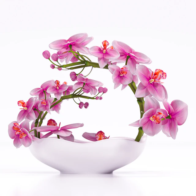 ORCHID 3 — Скачать