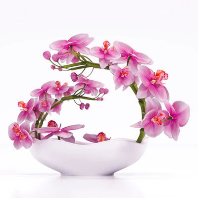 ORCHID 3 — Вид 2