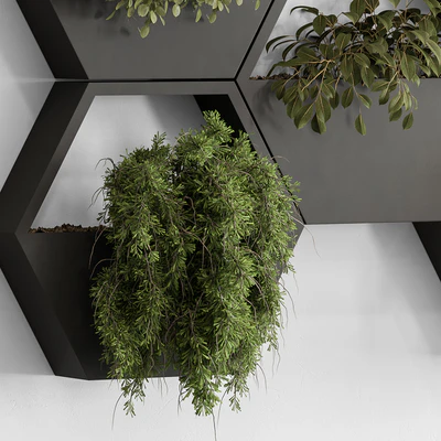 indoor Plant 536 - Hanging Plants — Ver 3