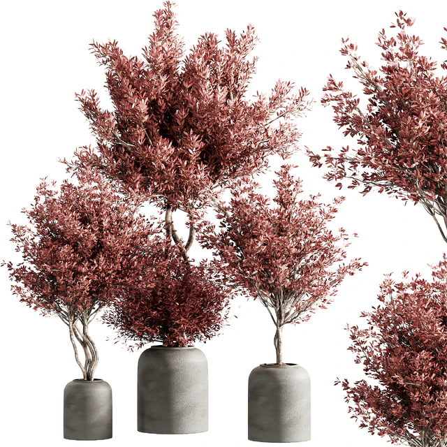 indoor plant set 21 — Скачать