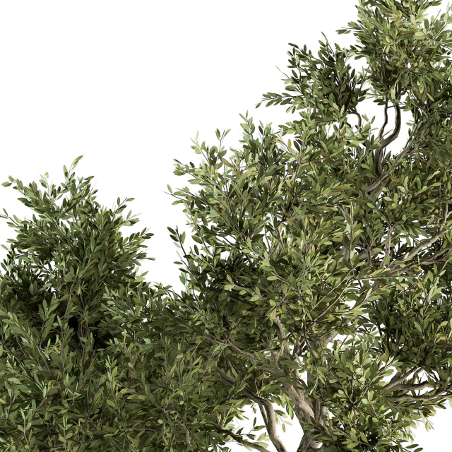 Garden set Tree and Bush - Garden Set 13 — Descargar