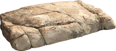 forest rock shelf 004 — Скачать