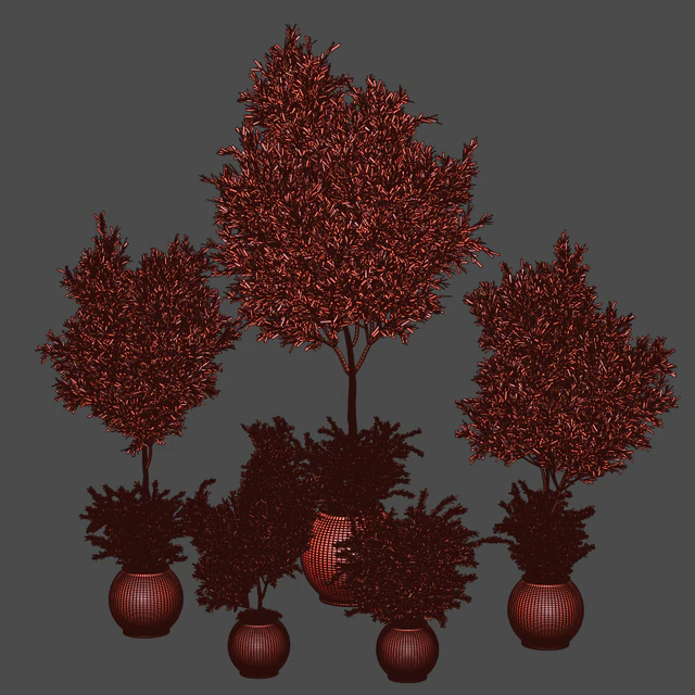 indoor plant olive set 02 — Скачать