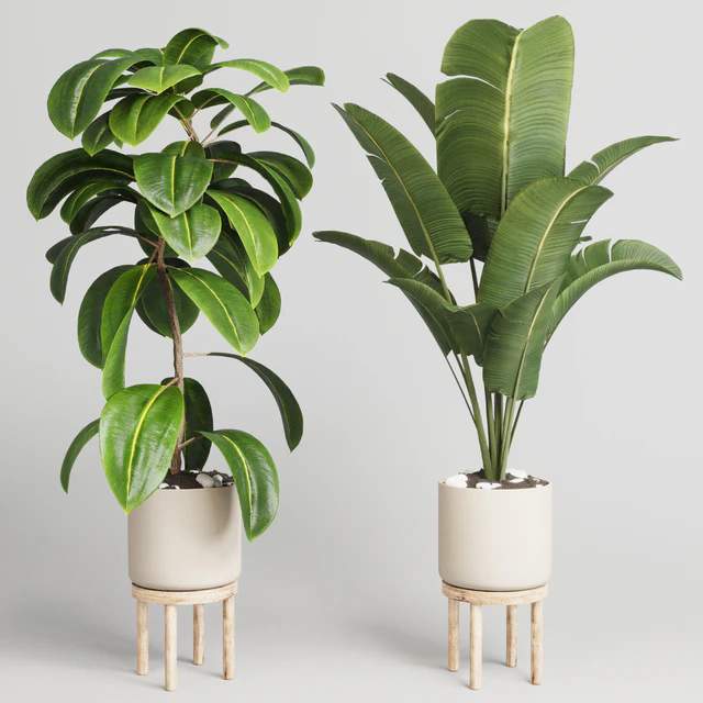 collection Indoor plant 30 -wood vase — Descargar