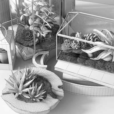 Pottery barn GLASS TERRARIUM — Вид 2