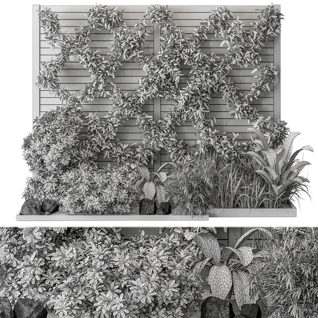 Outdoor Plant Set 429- Ivy on Wall — Descargar