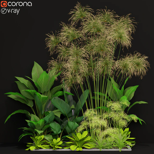 Plants collection 241 — Descargar