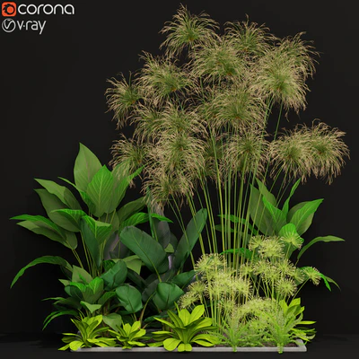 Plants collection 241 — Ver 1
