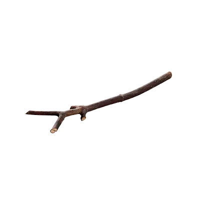 tree debris 019 — Descargar