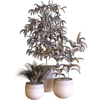 plant in box set 040 — Вид 3