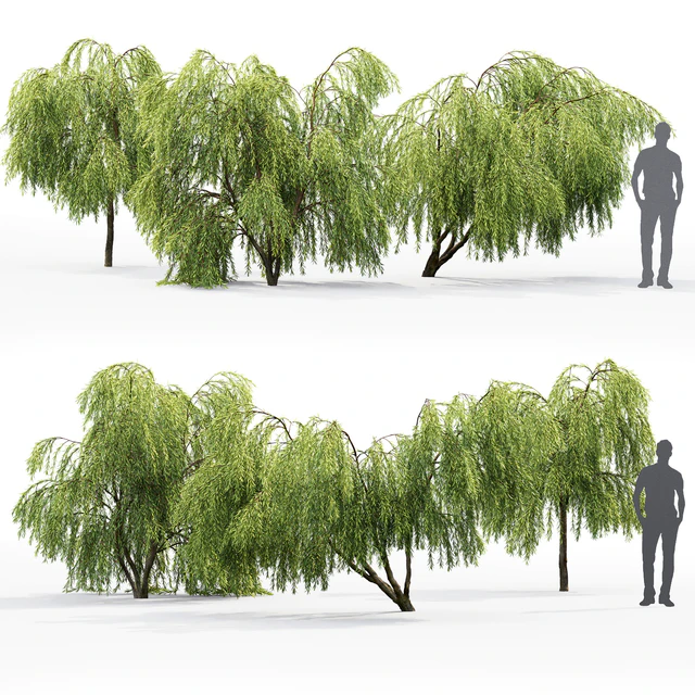 Willow — Скачать