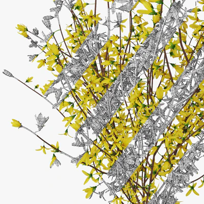 Forsythia 02 — Ver 2