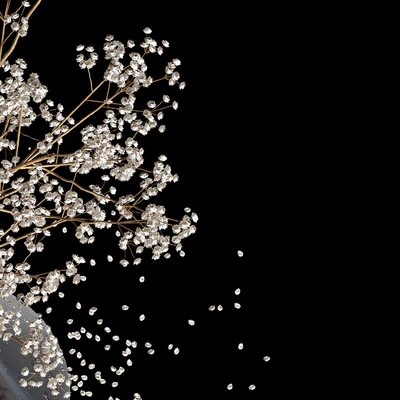 Dry Flowers 2 — Ver 2