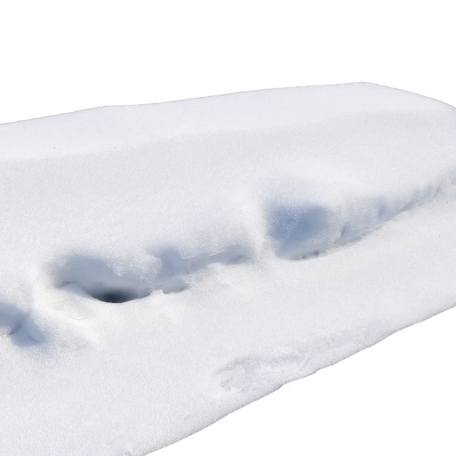 Snowdrift — Descargar