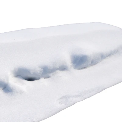 Snowdrift — Ver 2