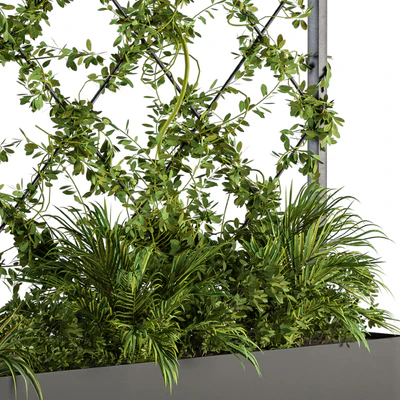 Vertical Garden - Outdoor Green Wall 39 — Вид 4