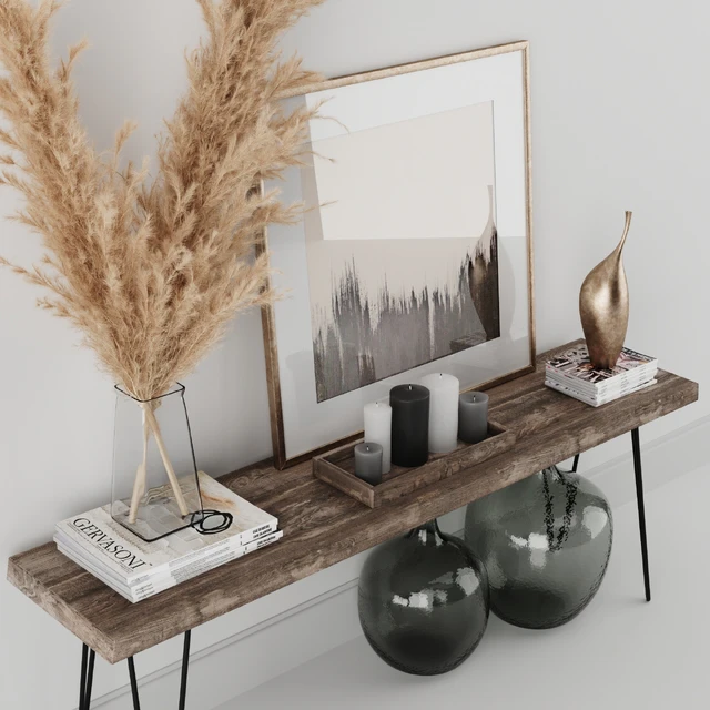 Decoration Set 01 pampas & Console — Descargar