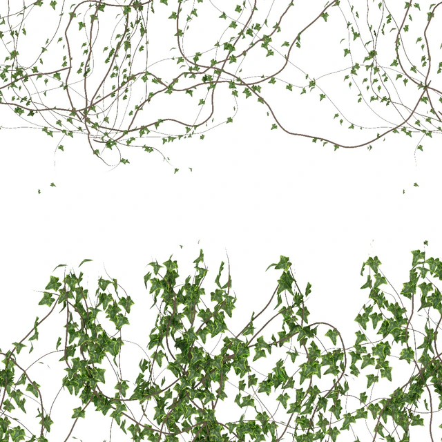 Wall of ivy leaves v3 — Descargar