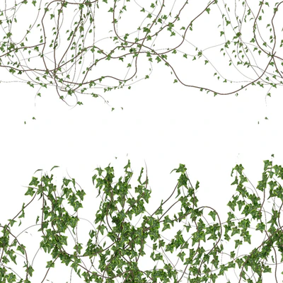 Wall of ivy leaves v3 — Ver 2