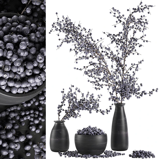 A collection of bouquets of branches with blueberries in black vases with blueberries, a bowl with berries, natural decor. Set 549. — Descargar