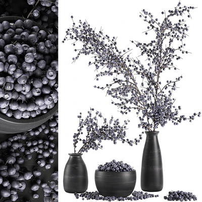 A collection of bouquets of branches with blueberries in black vases with blueberries, a bowl with berries, natural decor. Set 549. — Ver 1