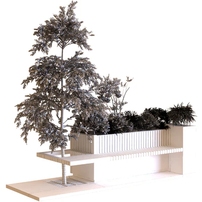 tree in box set 021 — Вид 3