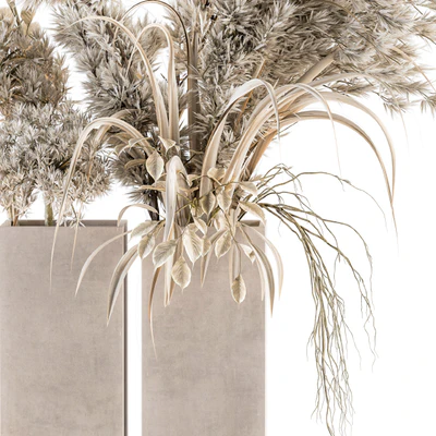 Dry plants 39 - Dried Plant Pampas — Ver 3