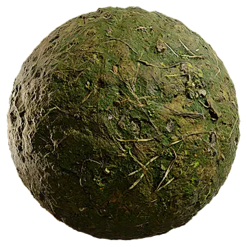 mossy soil 002 — Descargar