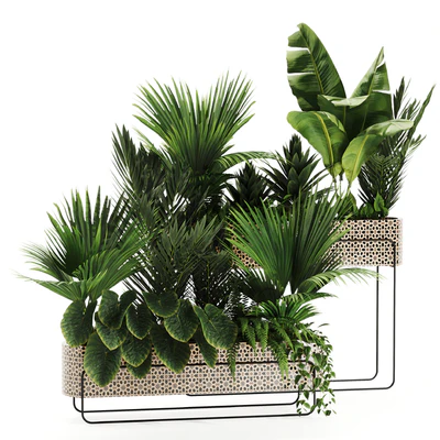 Indoor plants in box set-70 — Ver 1