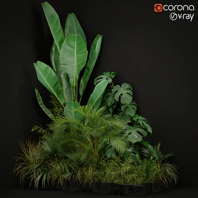 Plants collection 196 — Ver 1