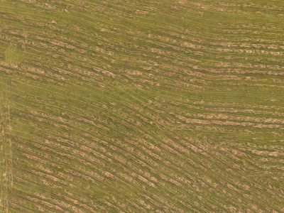 field summer 046 — Descargar