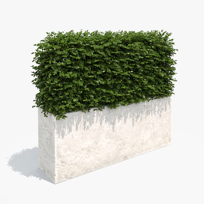 Hedge white plantere — Ver 1